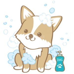 inu